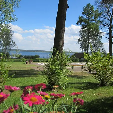 Heidenholz