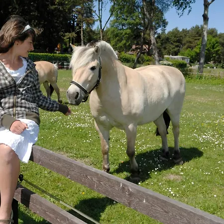 منتزه العطل Heidenholz